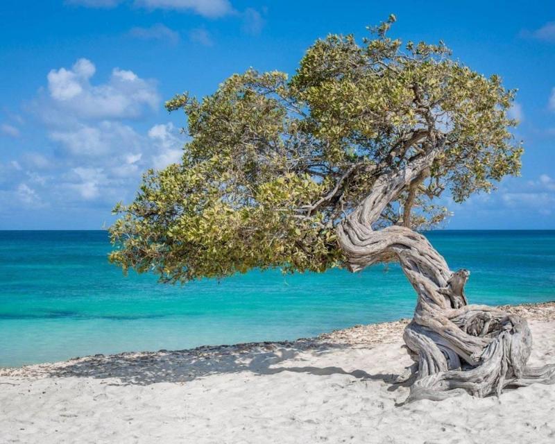Villa Park Fontein Curacao 外观 照片